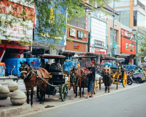 farhan-abas-cm6shnIfdp4-unsplash